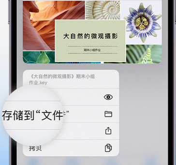 广州apple维修中心分享iPhone文件应用中存储和找到下载文件