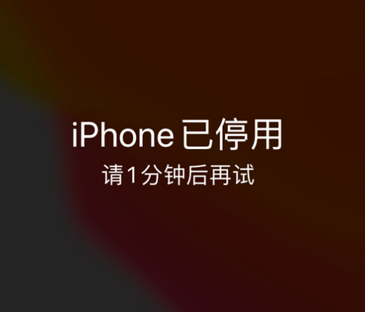 广州苹果手机维修分享:iPhone 显示“不可用”或“已停用”怎么办？还能保留数据吗？ 