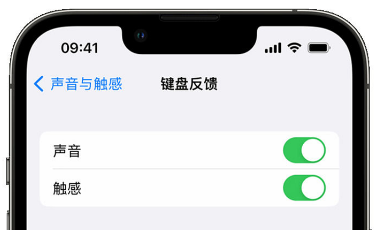 广州苹果手机维修分享iPhone 14触感键盘使用方法 