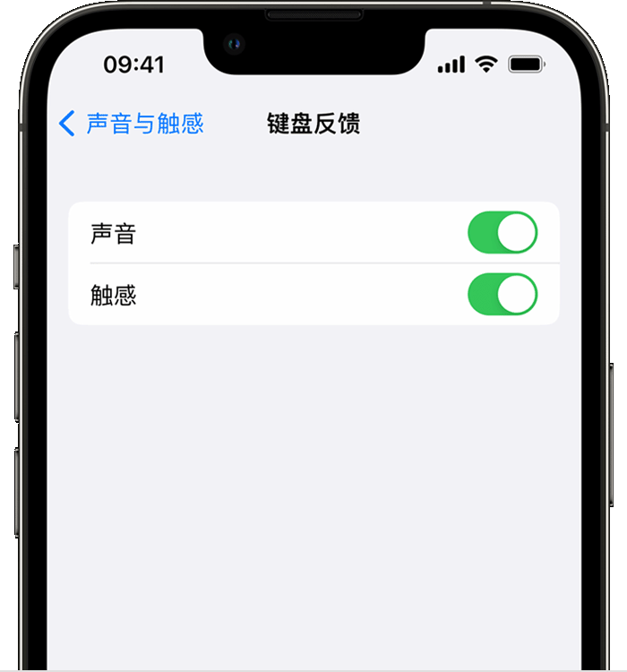 广州苹果14维修店分享如何在 iPhone 14 机型中使用触感键盘 