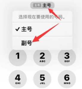 广州苹果14维修店分享iPhone 14 Pro Max使用副卡打电话的方法 