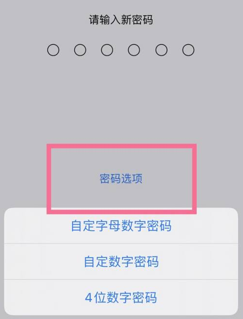 广州苹果14维修分享iPhone 14plus设置密码的方法 