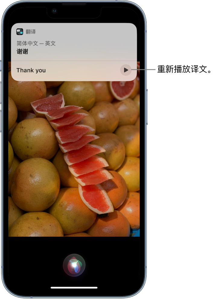 广州苹果14维修分享 iPhone 14 机型中使用 Siri：了解 Siri 能帮你做什么 