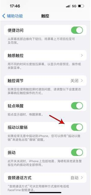 广州苹果手机维修分享iPhone手机如何设置摇一摇删除文字 