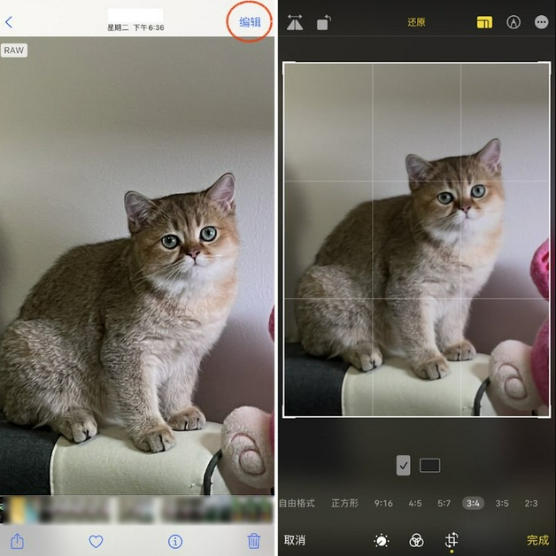 广州苹果手机维修分享苹果 iPhone 12 Pro 拍照会过度锐化 