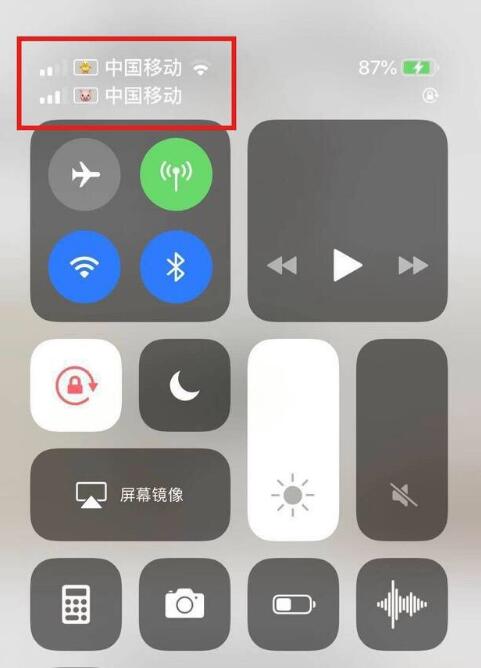 广州苹果手机维修分享为 iPhone 12 双卡设置标签 