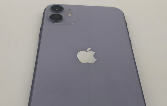 广州苹果11系统维修分享iPhone11手机系统崩溃无法开机如何解决 